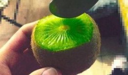 南宁抖音网红吃瓜事件真相,揭秘背后真相与争议